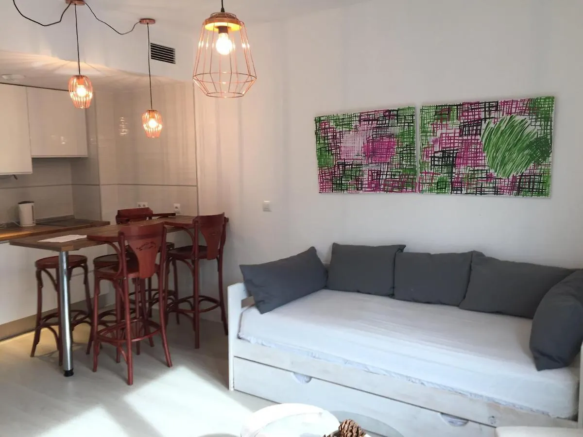 Realejo Center Apartments 2 Bedroom Granada